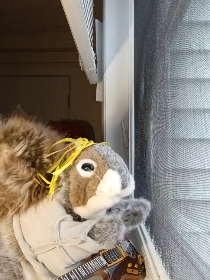 @Charles_TheSquirrel