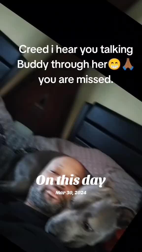 @mete_mete