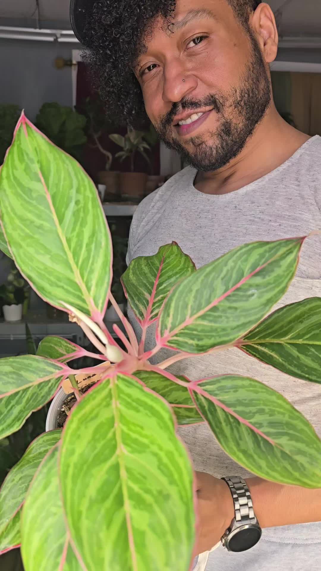 @JT - BigEGOPlants