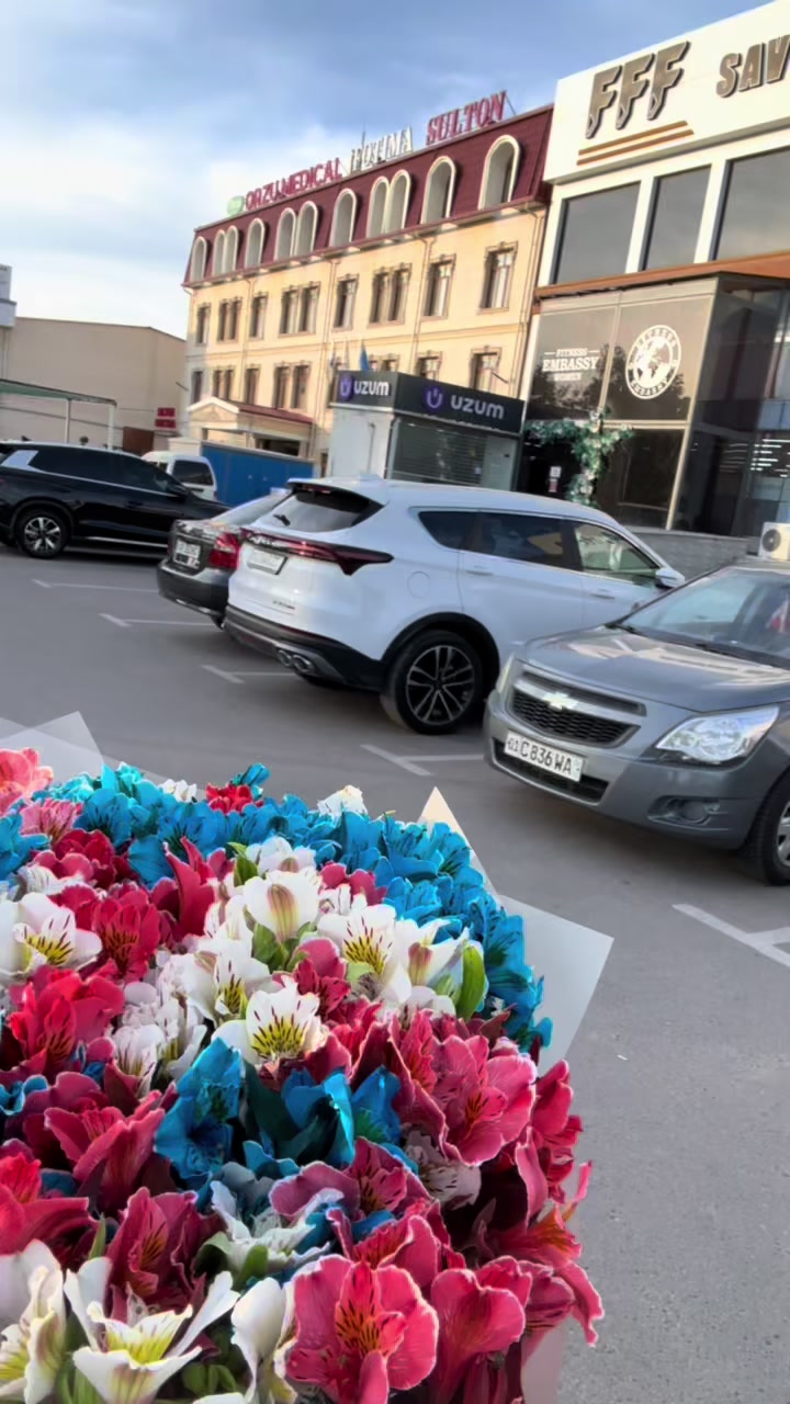 @zuhramur
