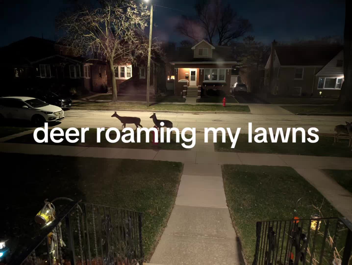 @normab