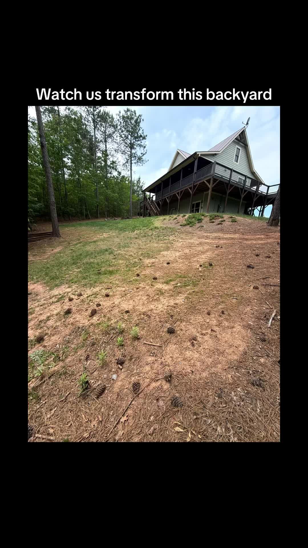 @TNE Lawn and Trimming
