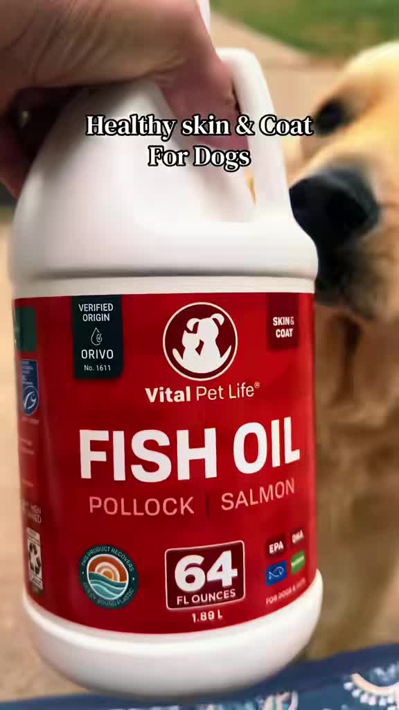 @❌wagsonthewater❌
