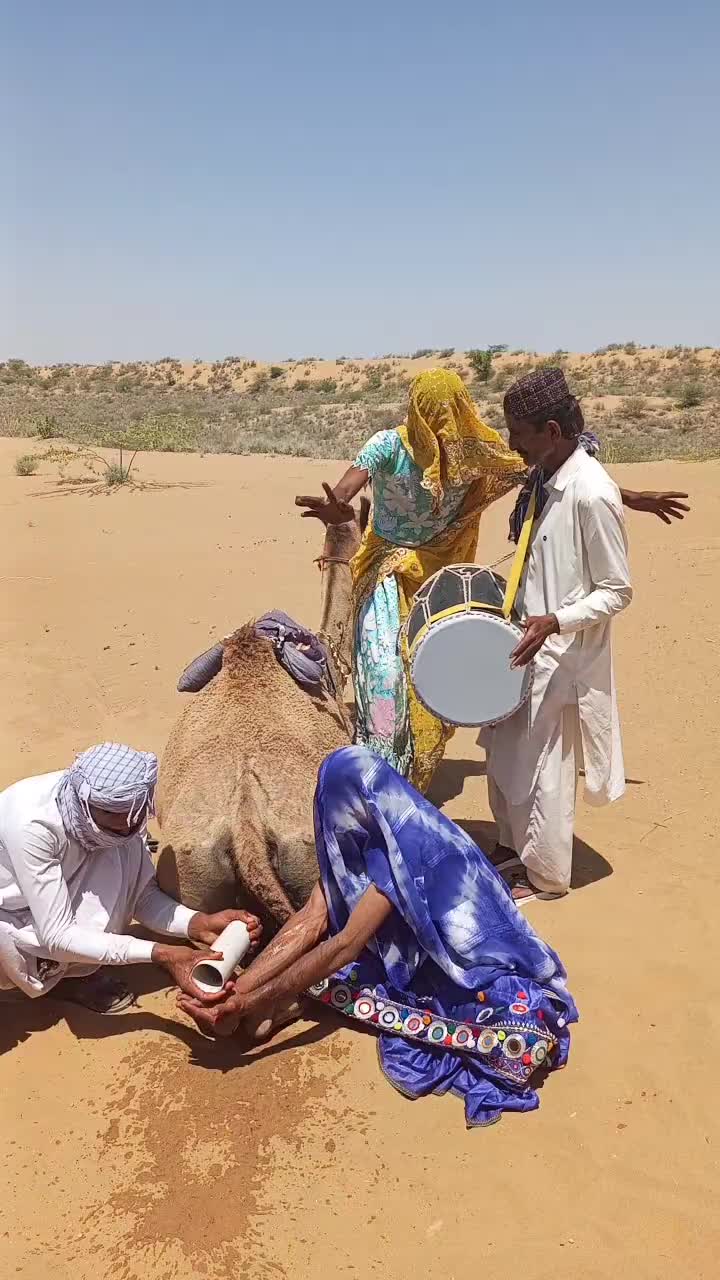 @Sakina 🐪