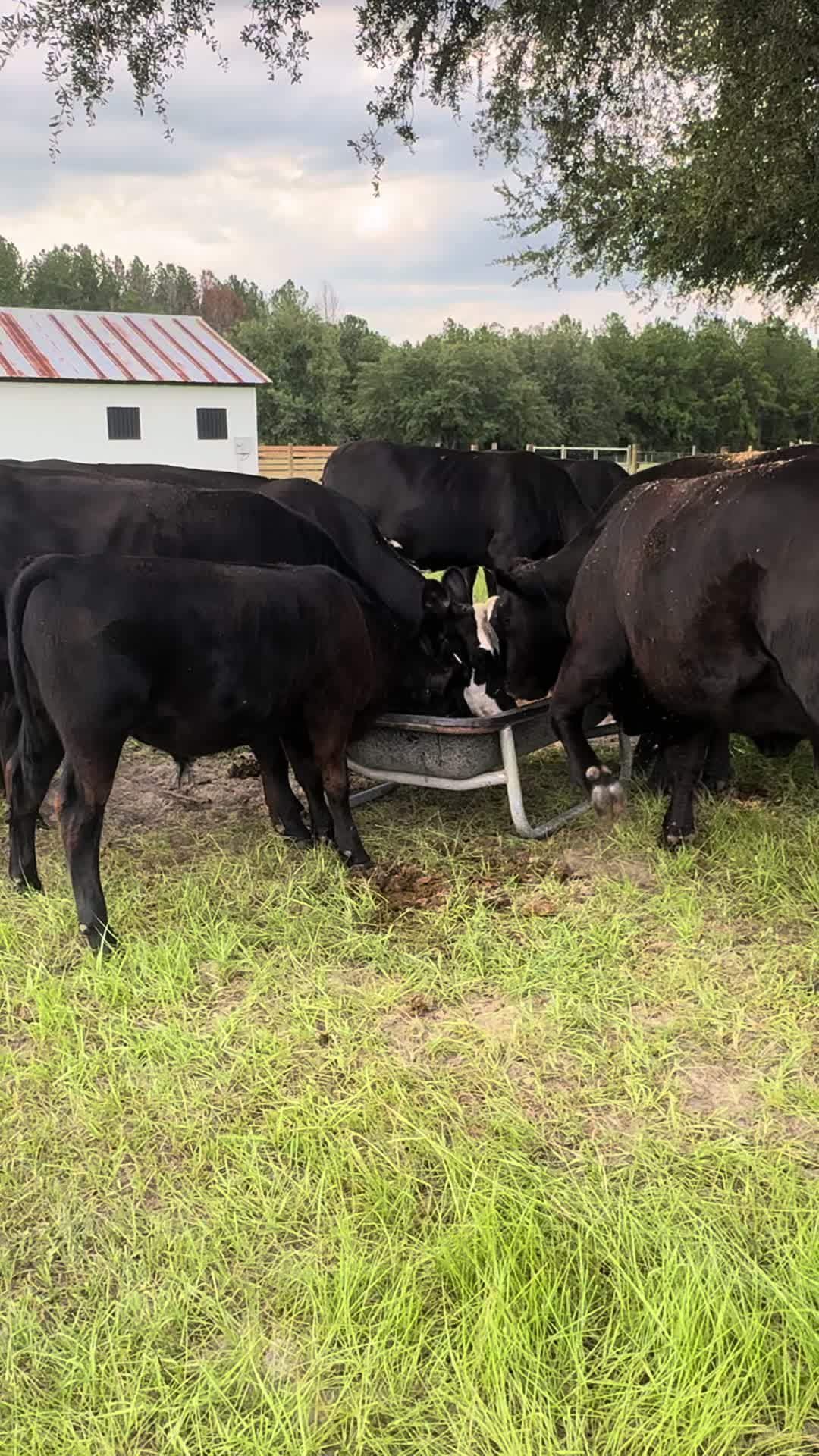 @RRFarmLabs