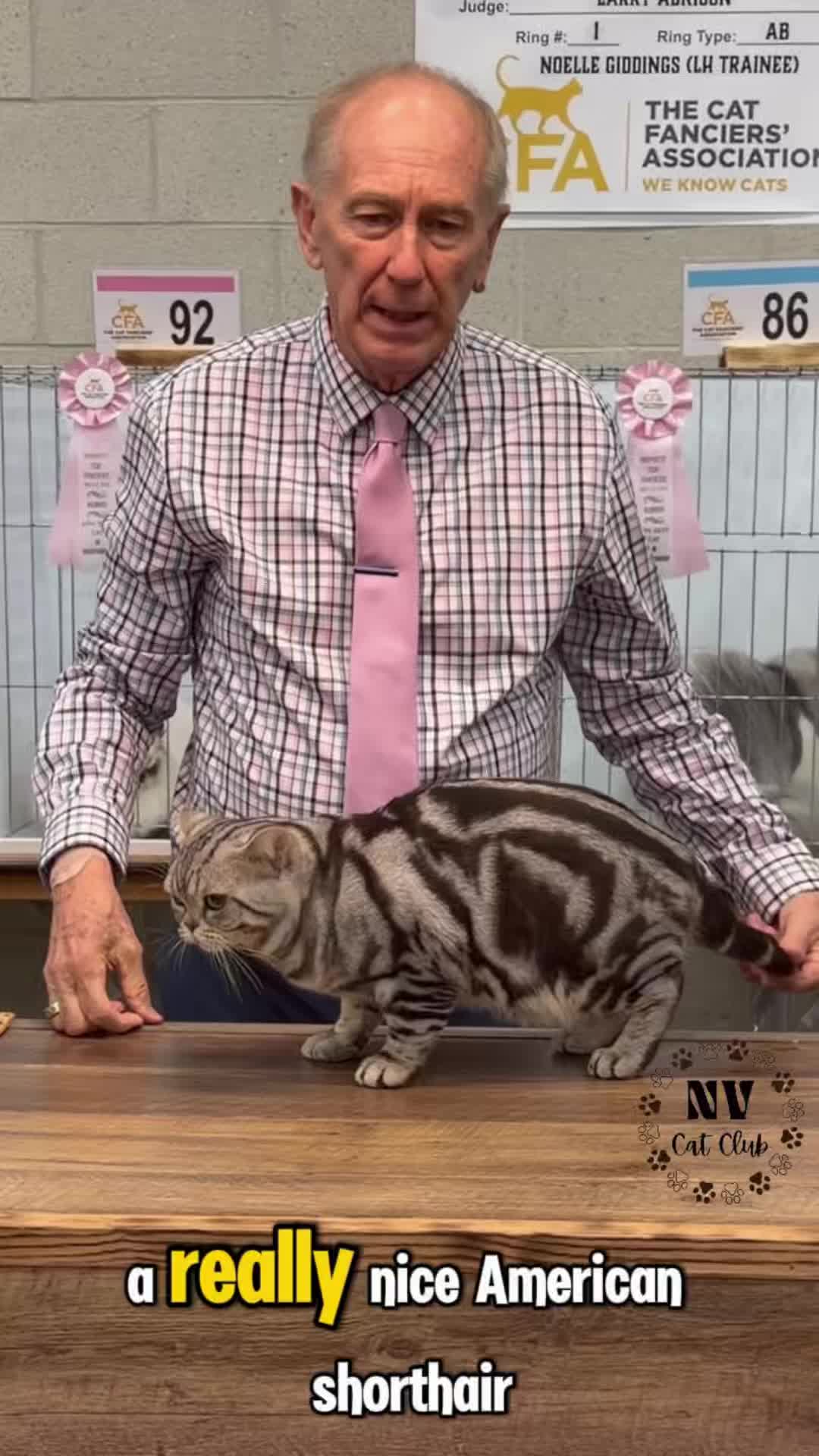@NewVisionCatClub
