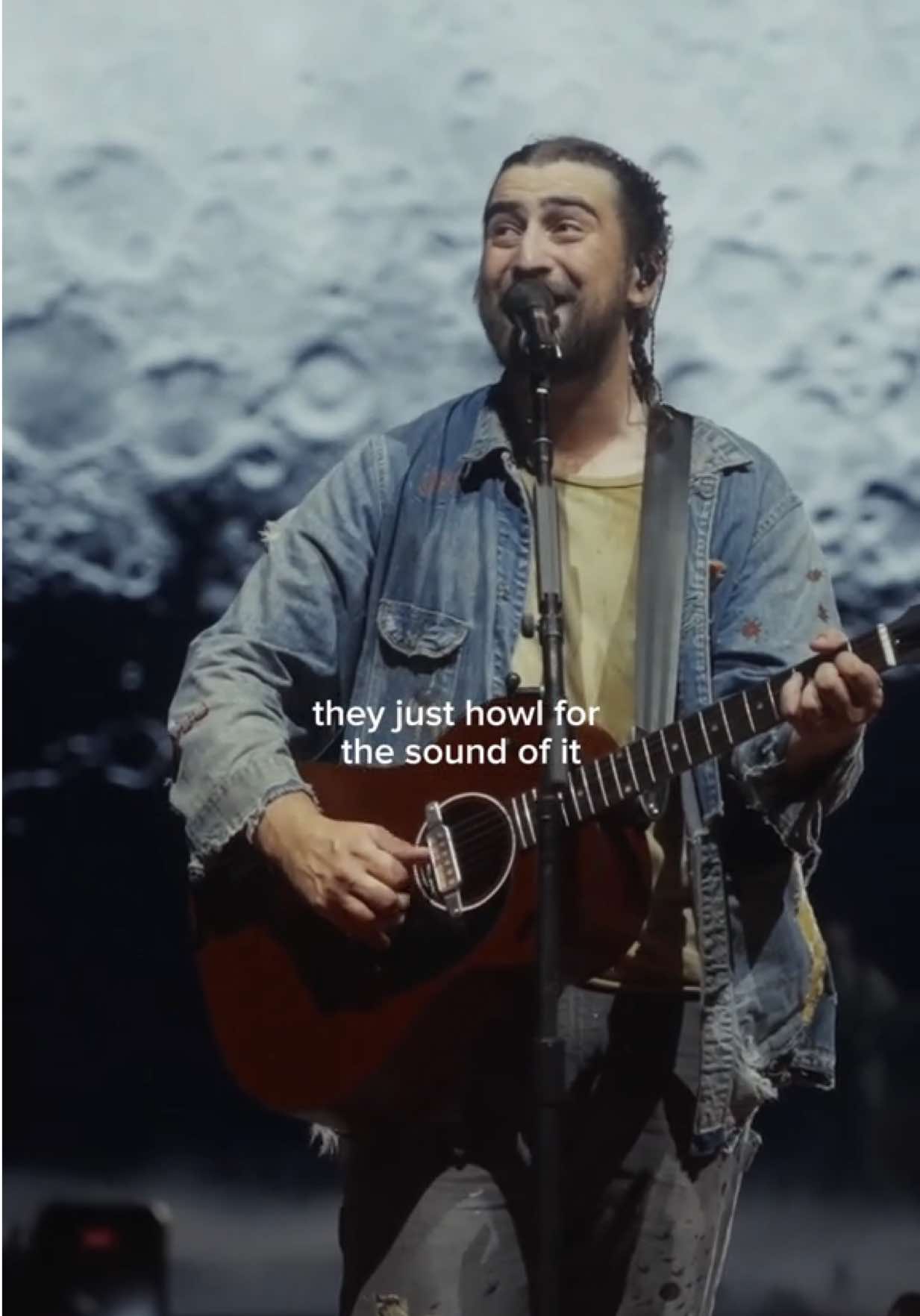 @thelastofthebugs