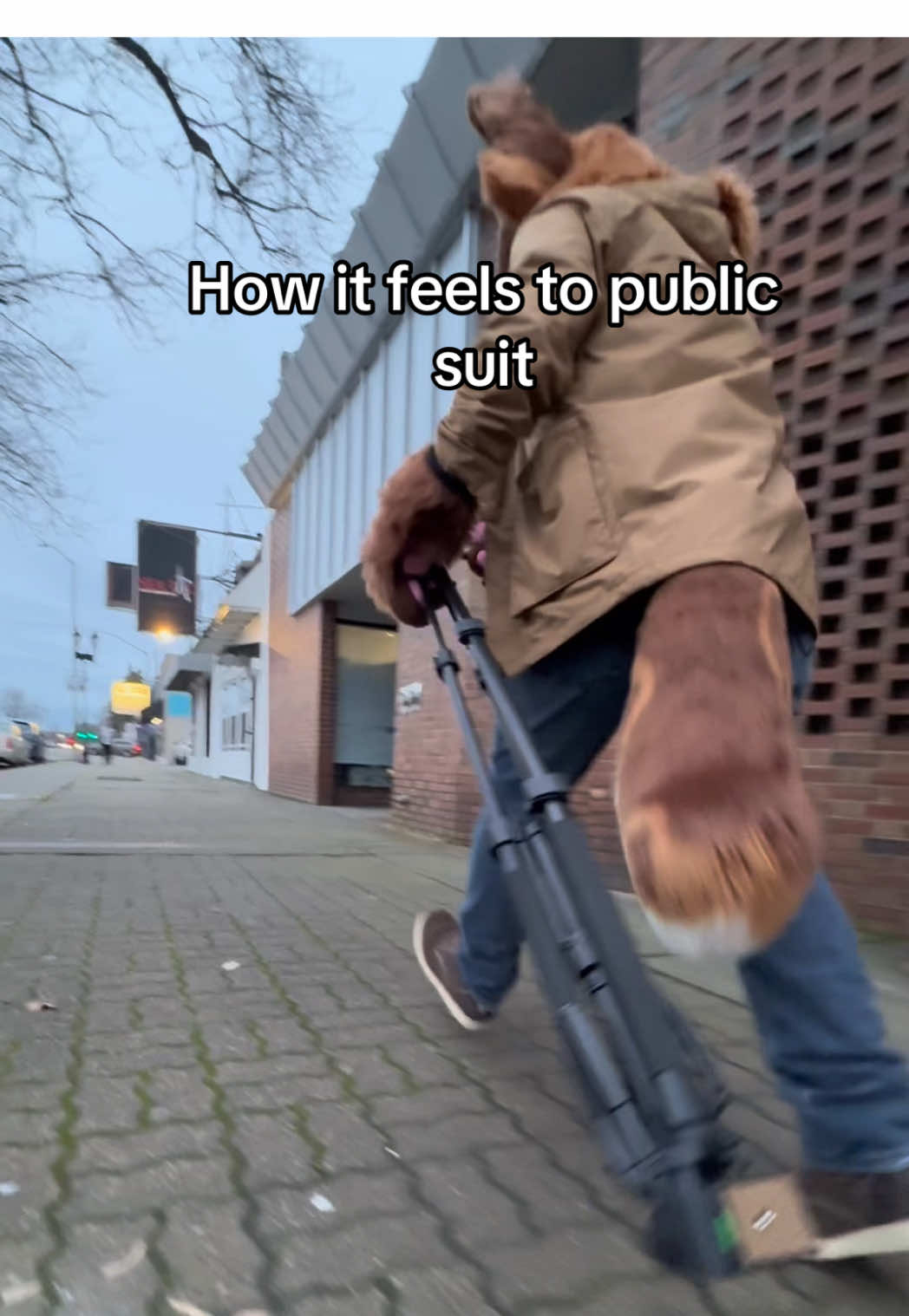 @Forb