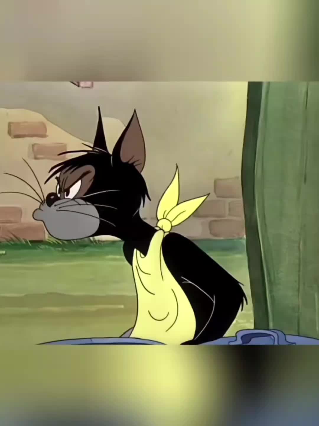 @elaborate