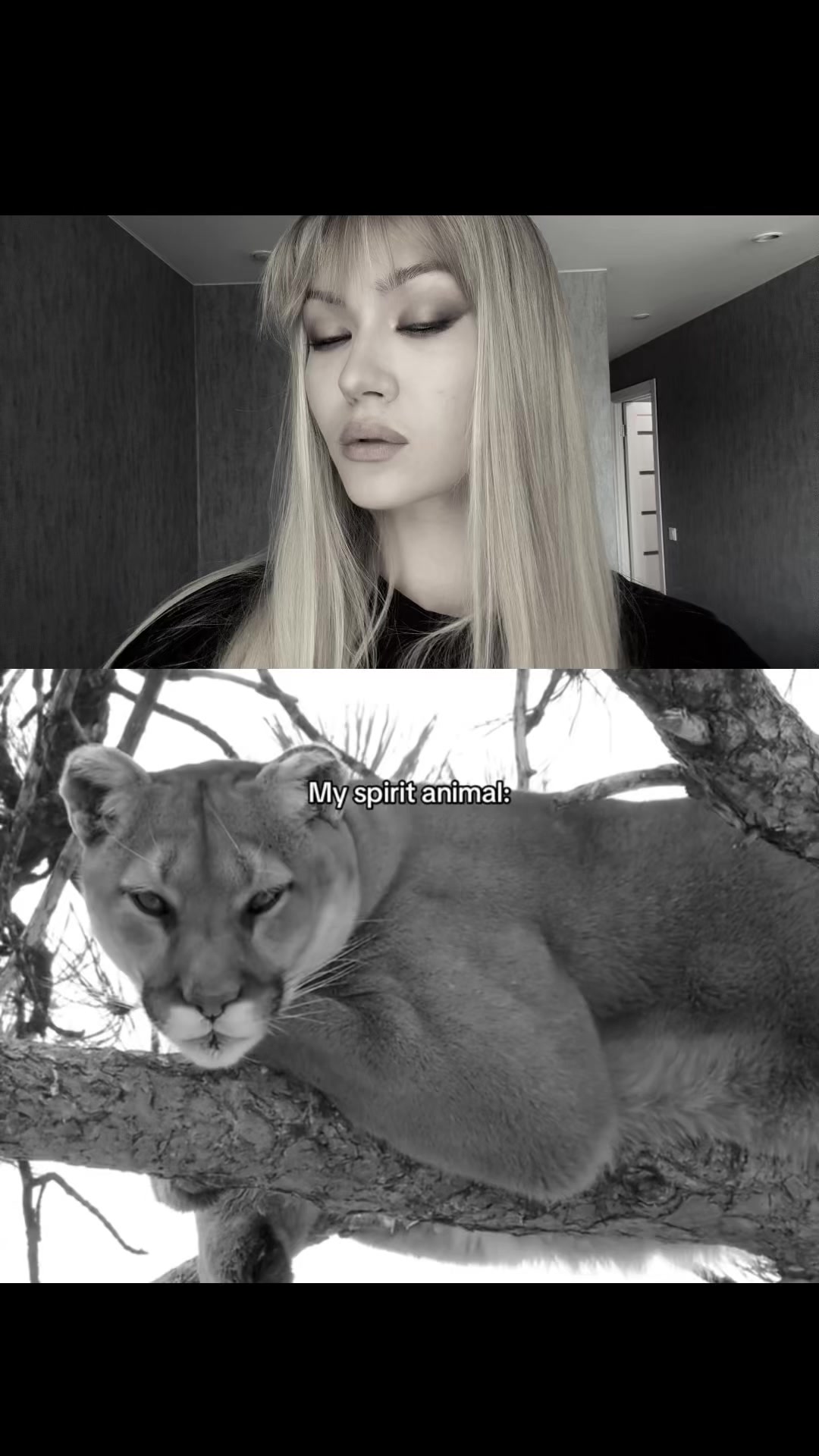 @хайджулия