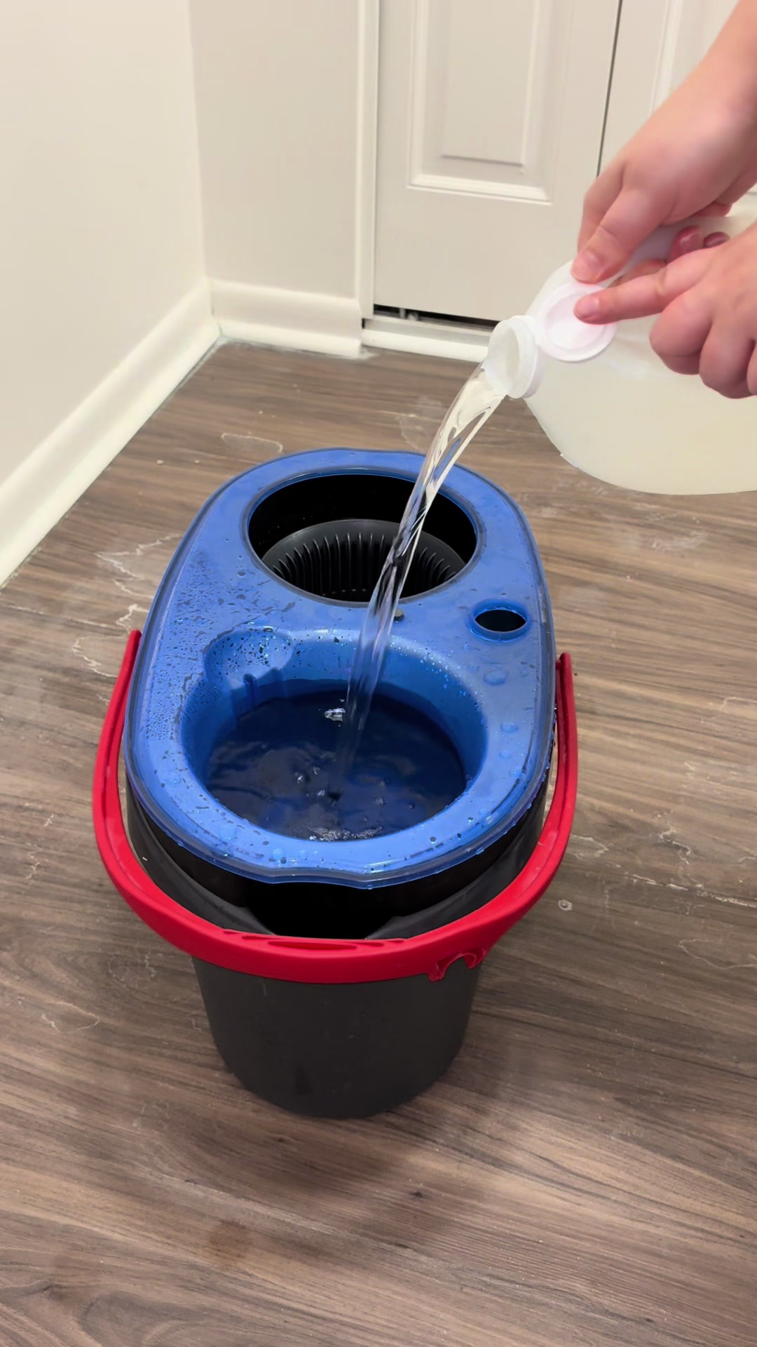 @Squeaky Clean ASMR