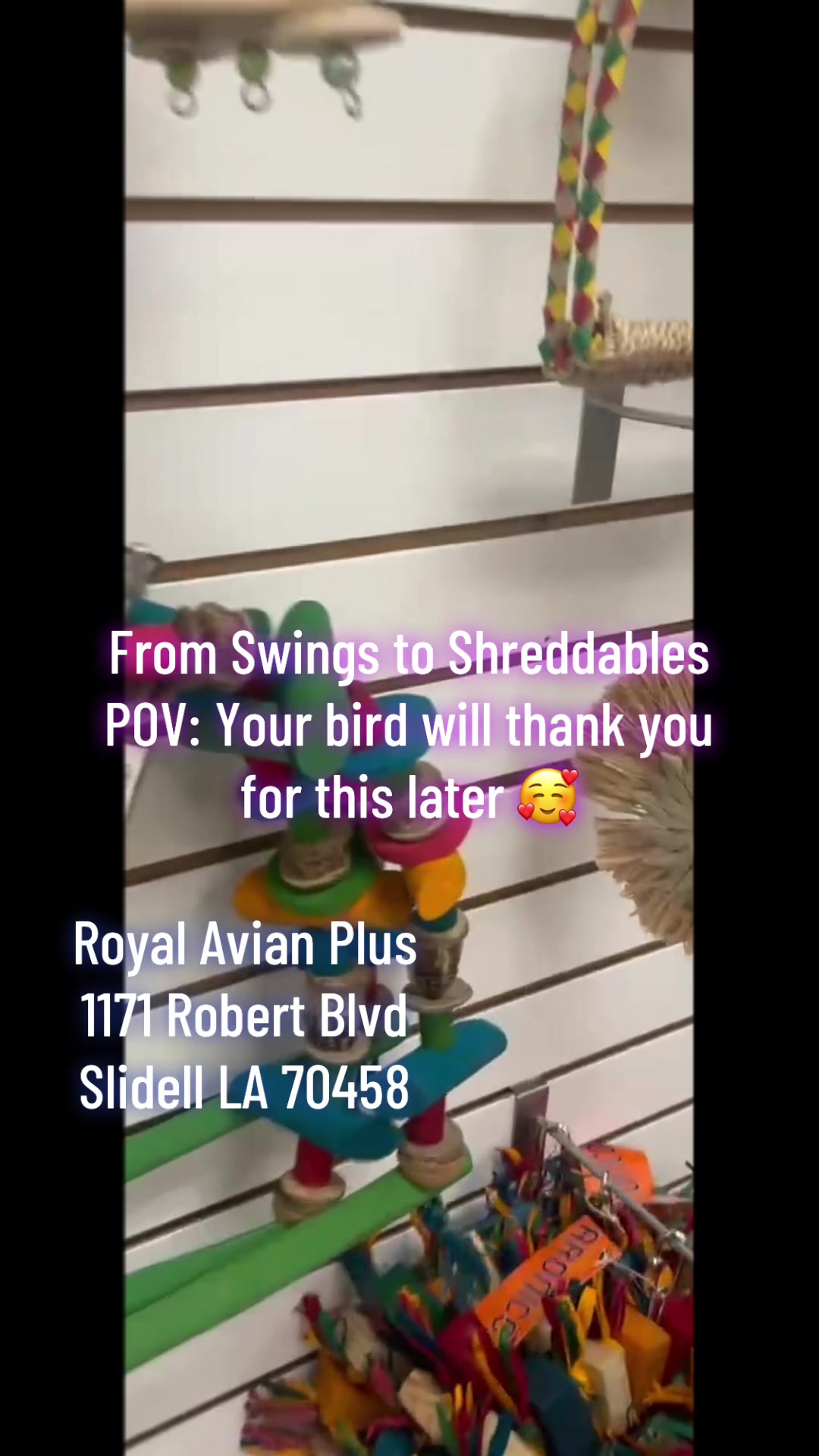 @Royal Bird Lady ๐