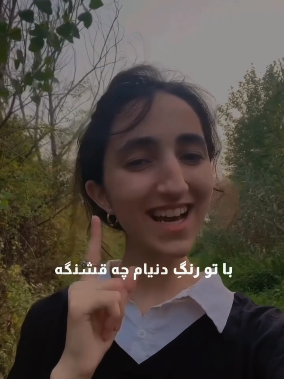 @persian_music