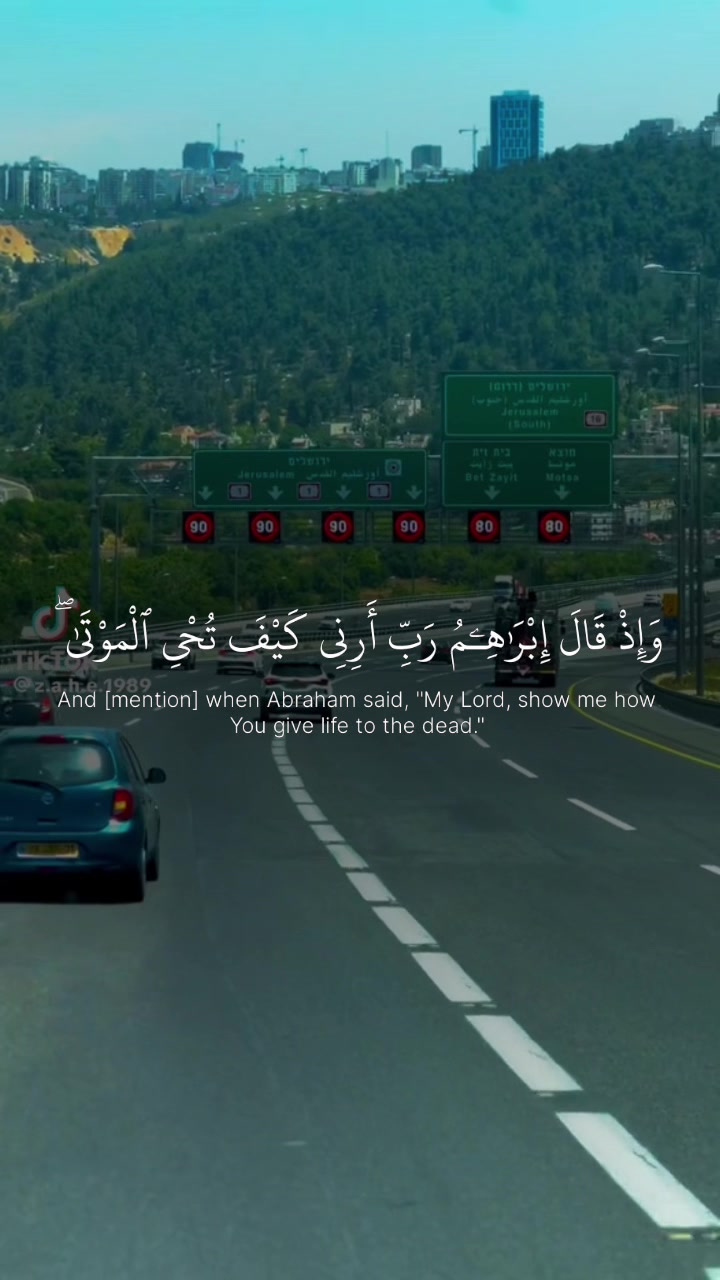 @فلسطيني وافتخر