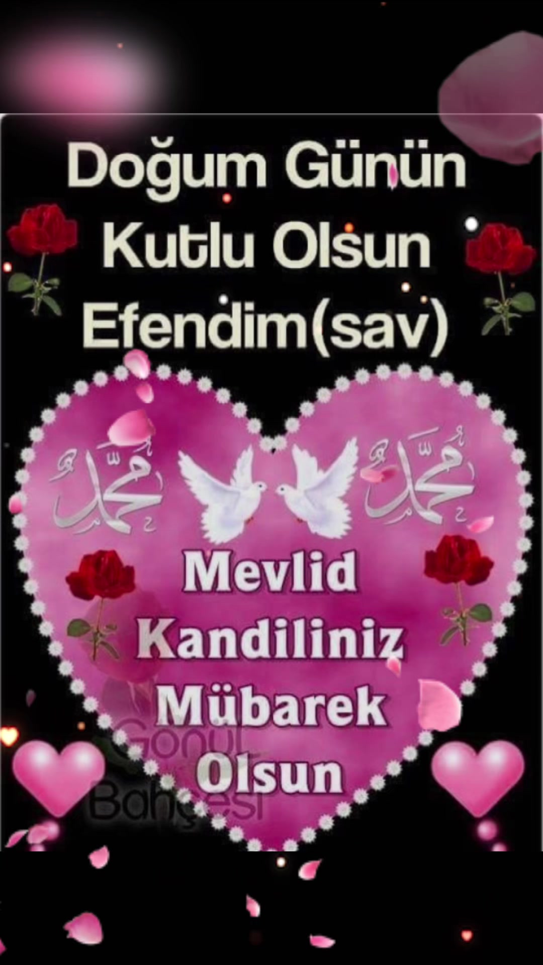 @🇹🇷1453🐺🇹🇷Stgt🇹🇷50🇹🇷