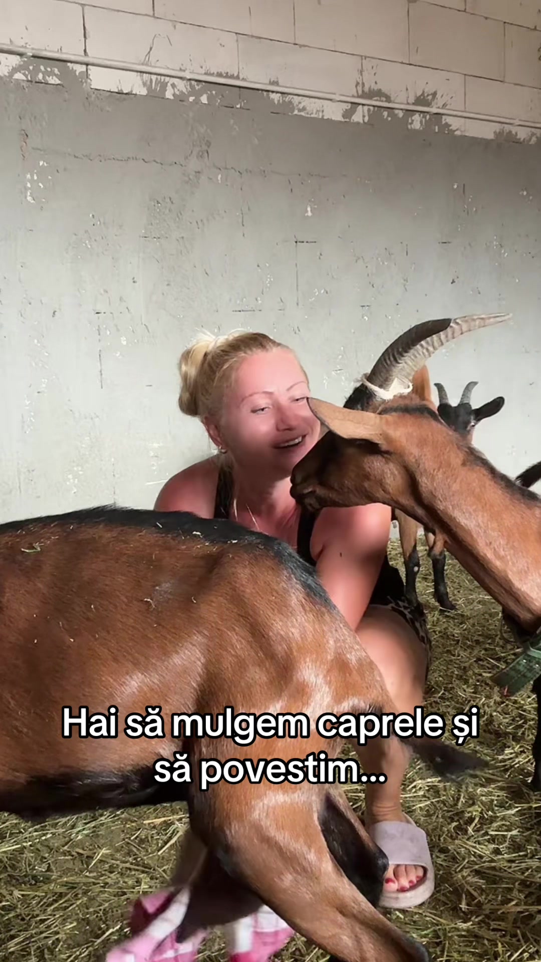 @Nicoleta