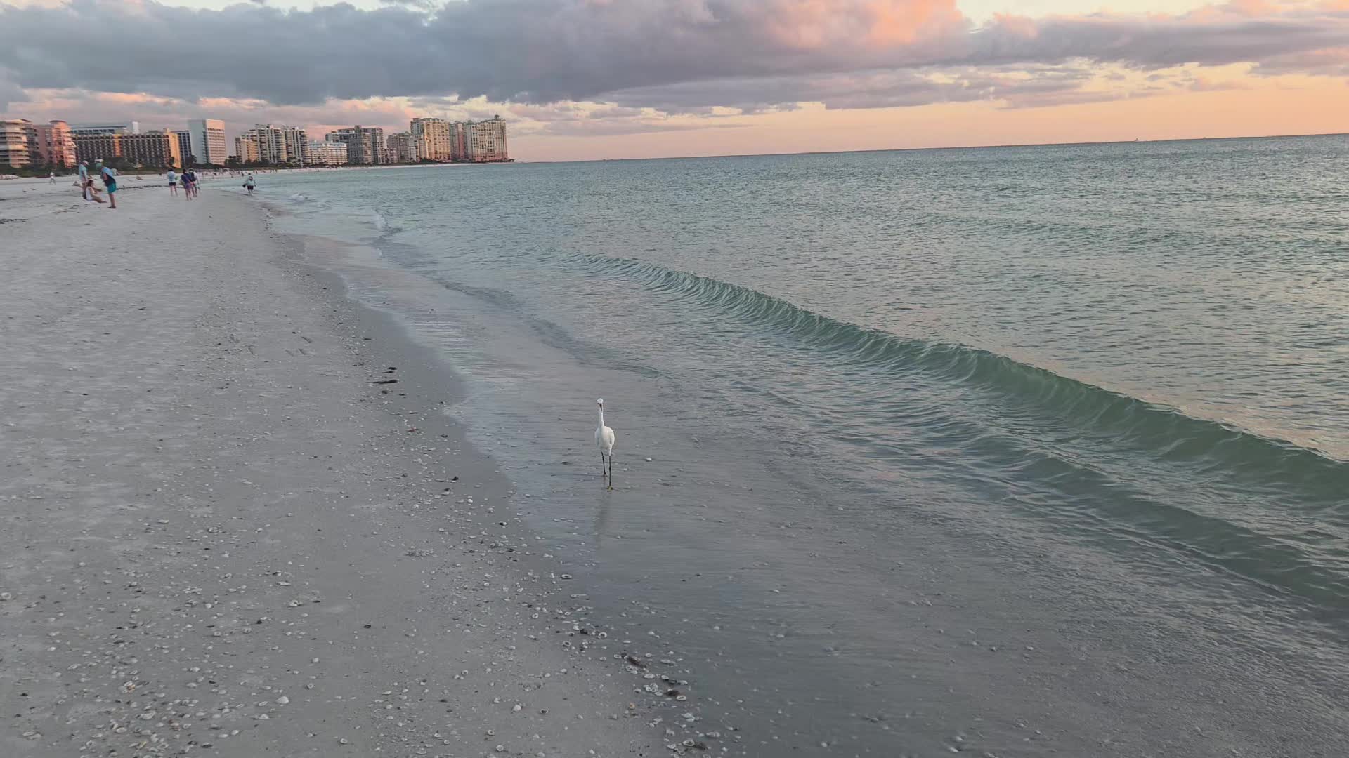 @watchbillywork