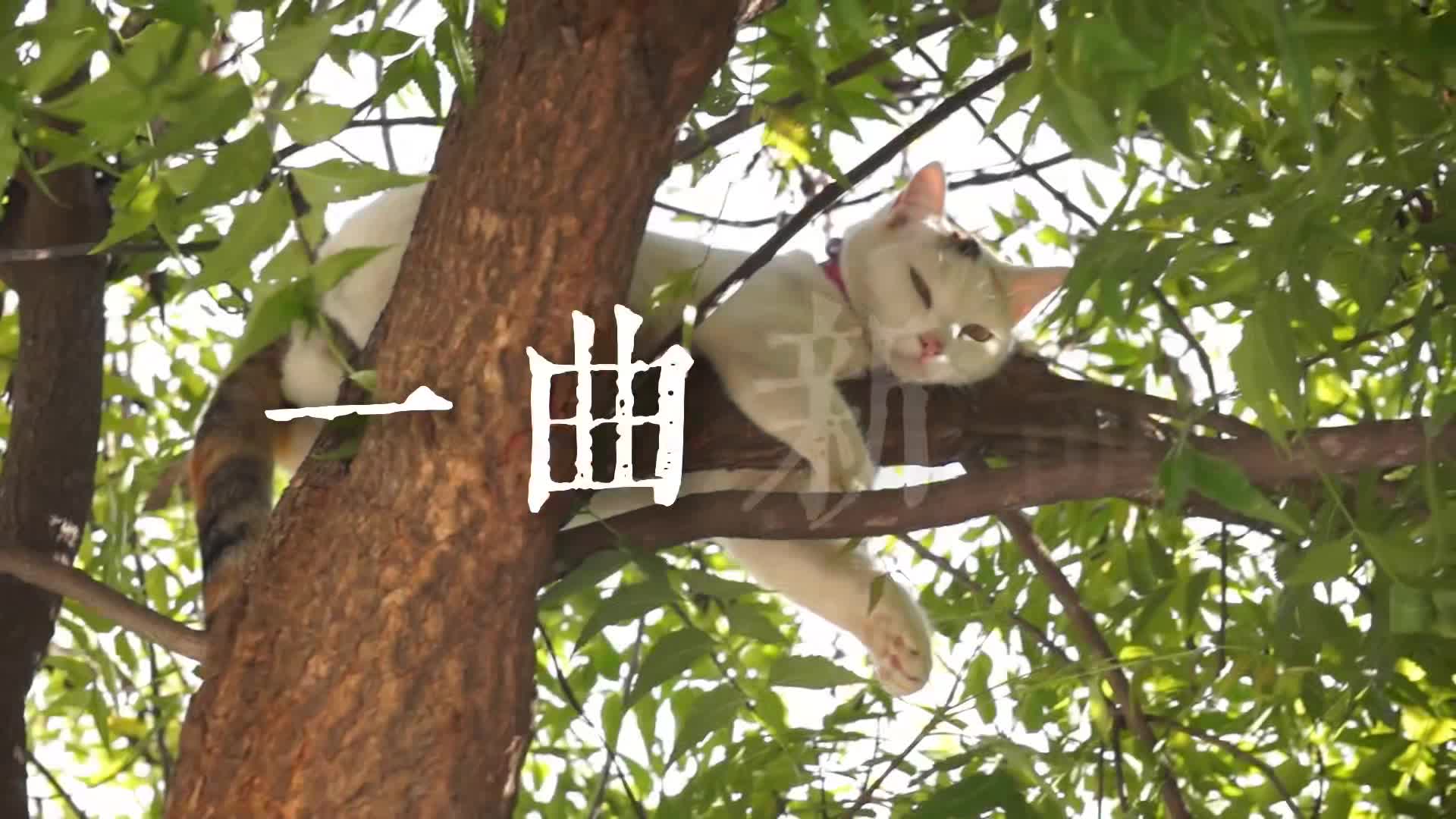 @微明