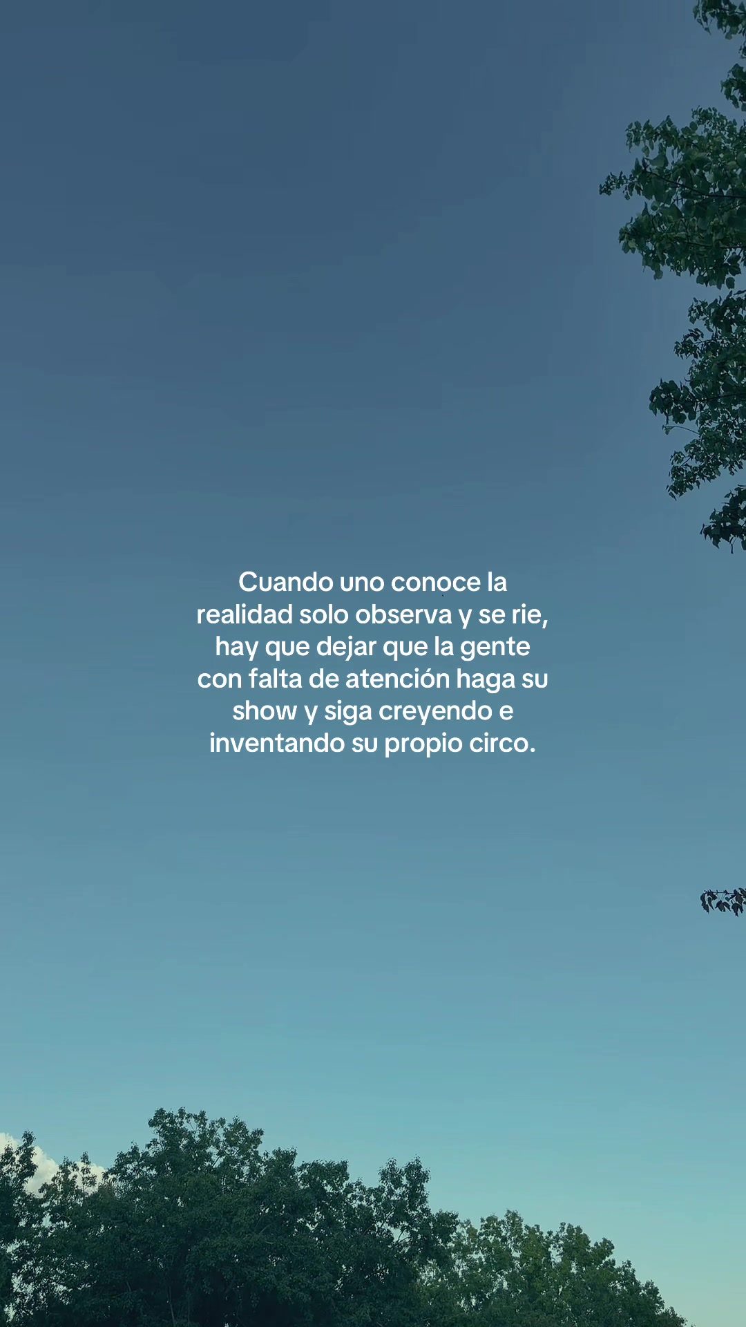 @&ldquo;Voces del Eco&rdquo;