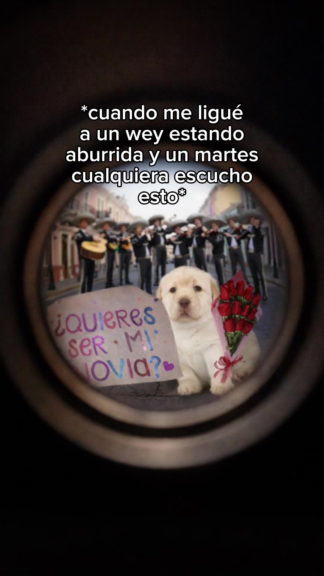@Victoria Alarcon