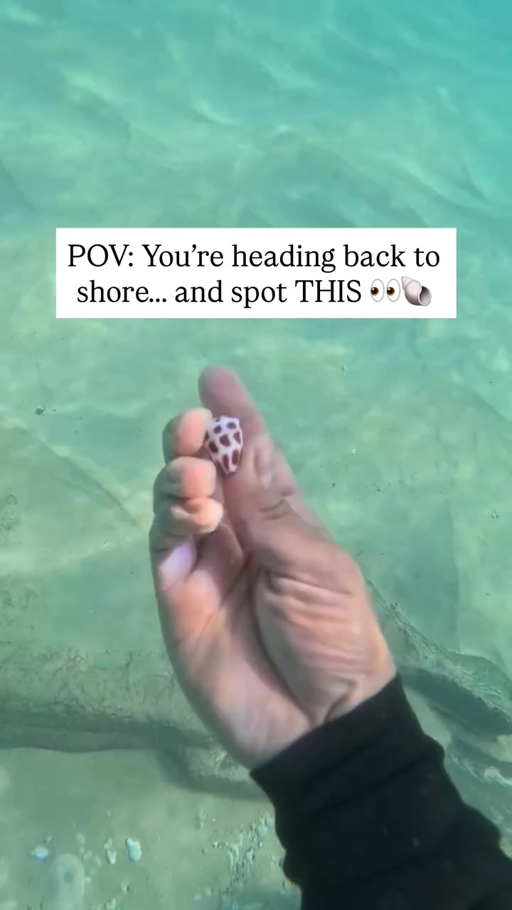 @Treasure Hawaii