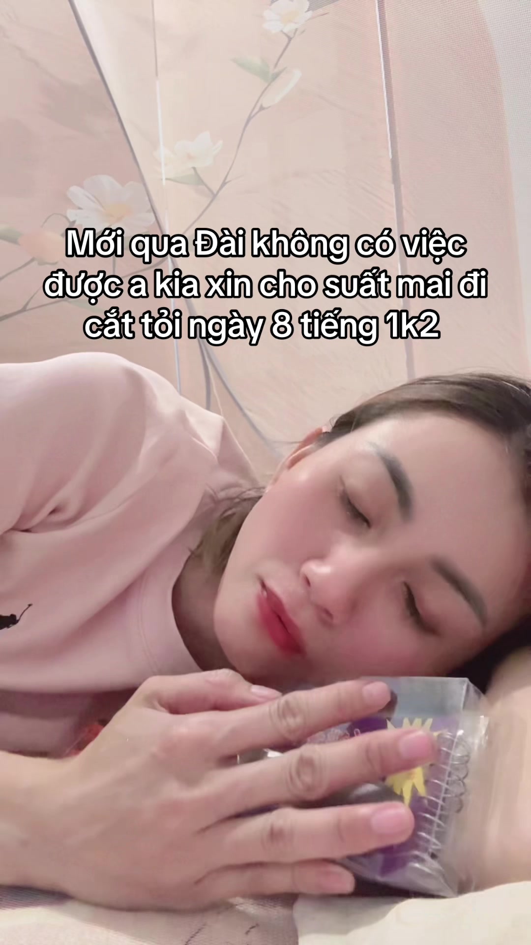 @金蓉