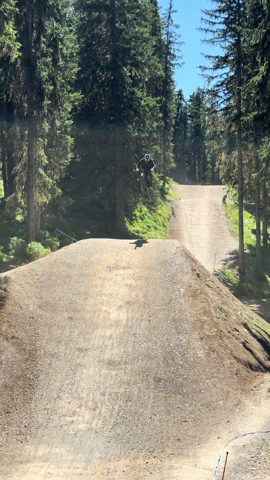 @🌲Freeride_Paul🌲