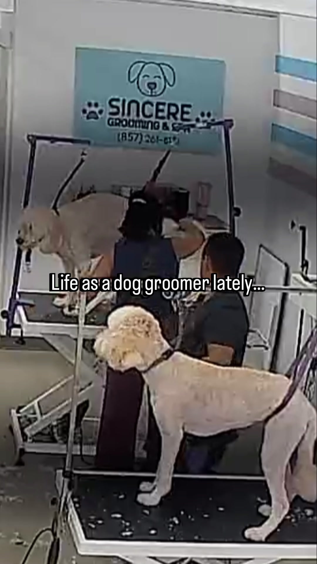 @Sincere Groomer