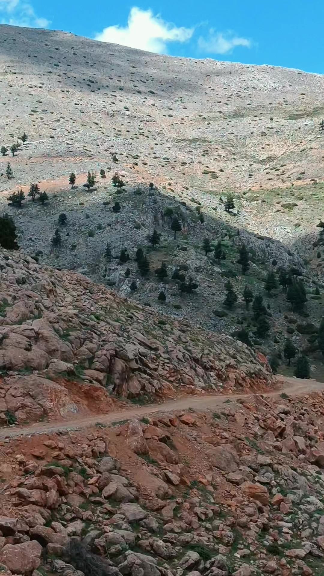 @DAĞCI.46