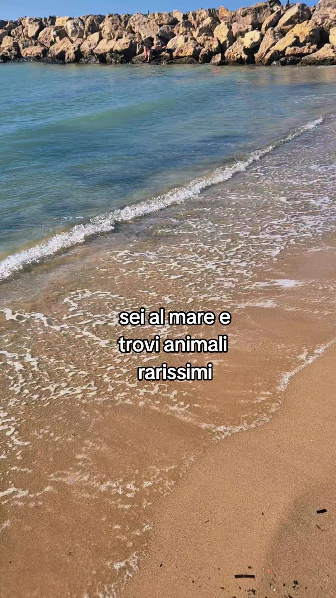@Cristina