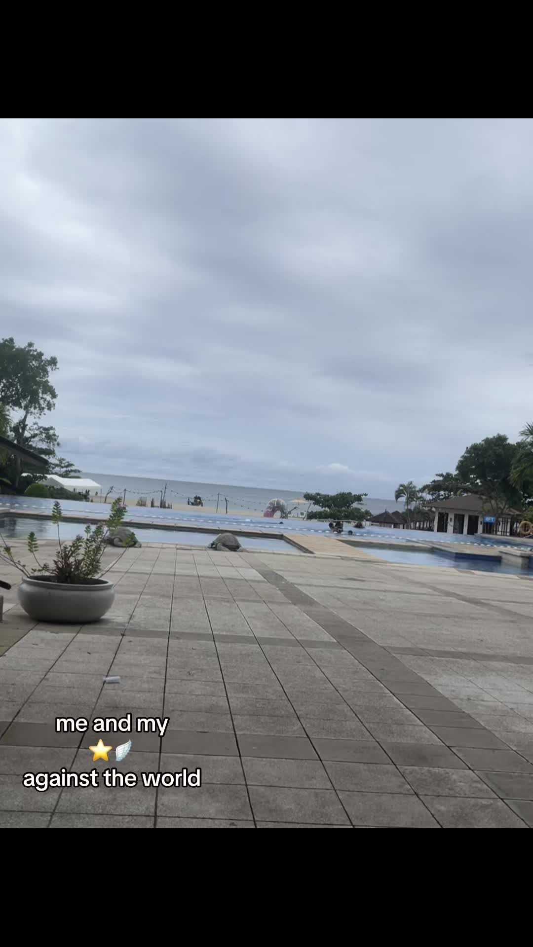 @sfogo