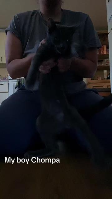 @catmomjailee123