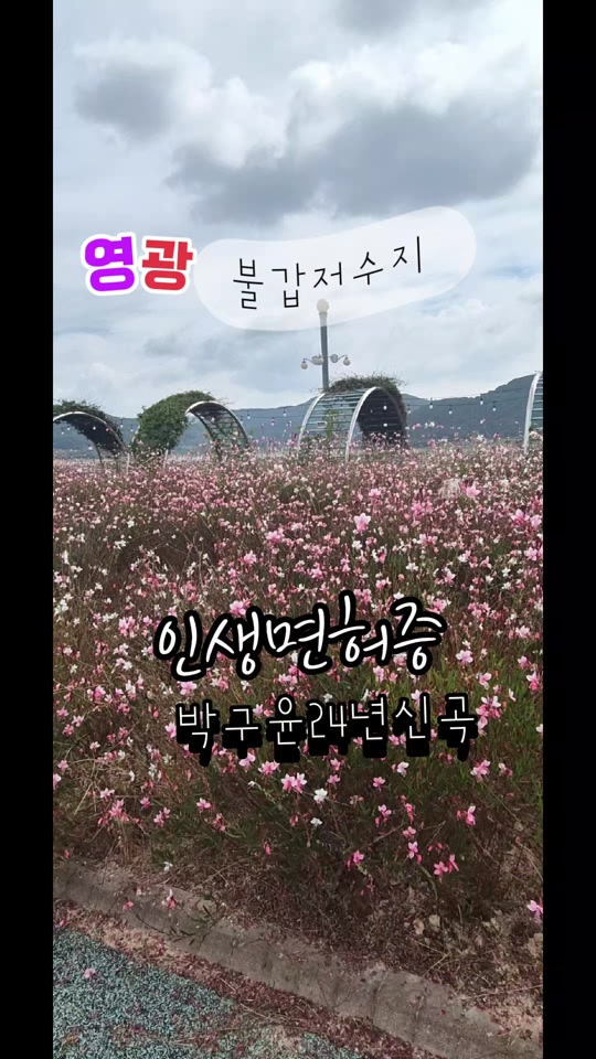 @금은희