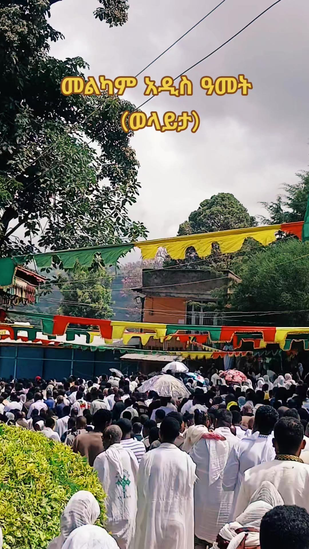 @ነቃ ጥበብ