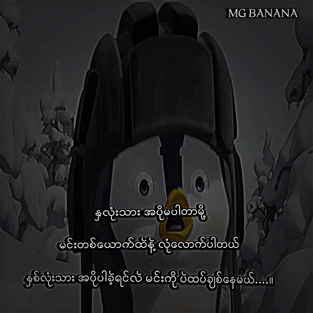 @โฐ๐ผ๐ถ ๐ฑ๐ฐ๐ฝ๐ฐ๐ฝ๐ฐ แฅซแญก