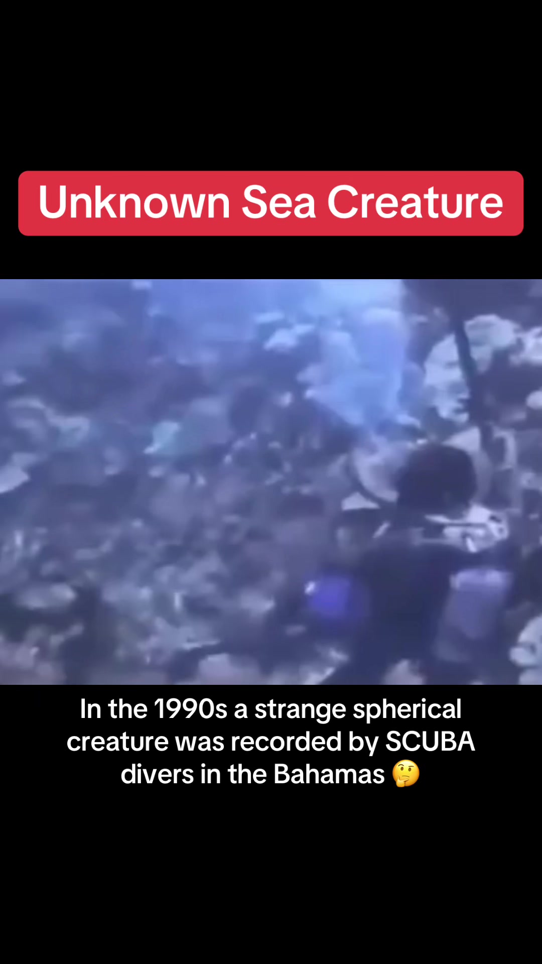 @The Strangest