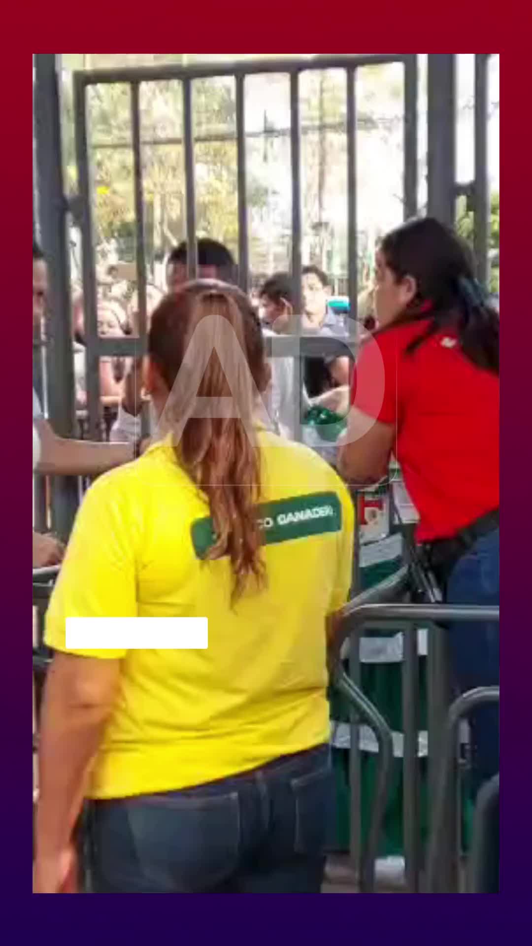 @Red Bolivisi&oacute;n
