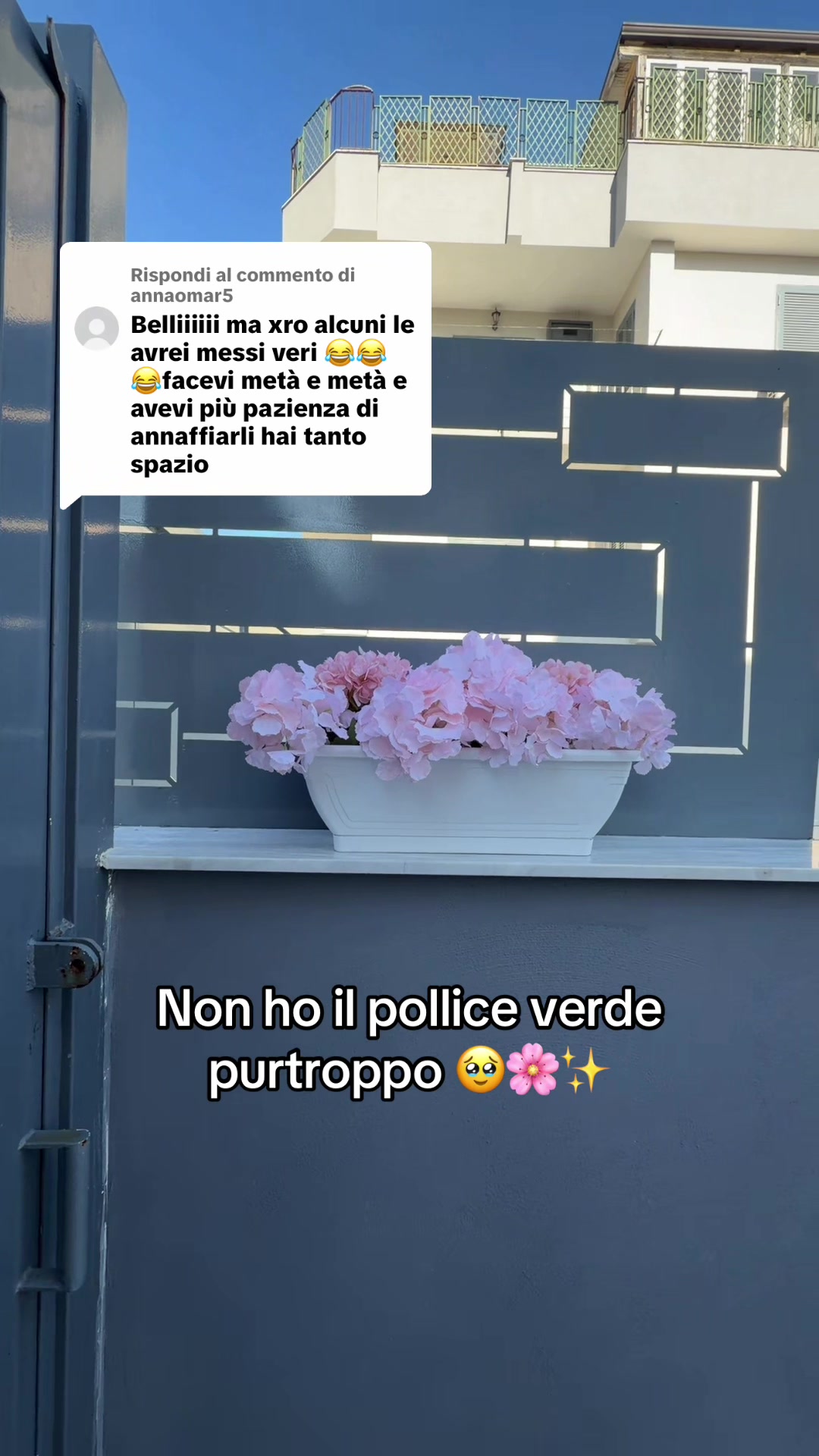 @Loredana lucarelli