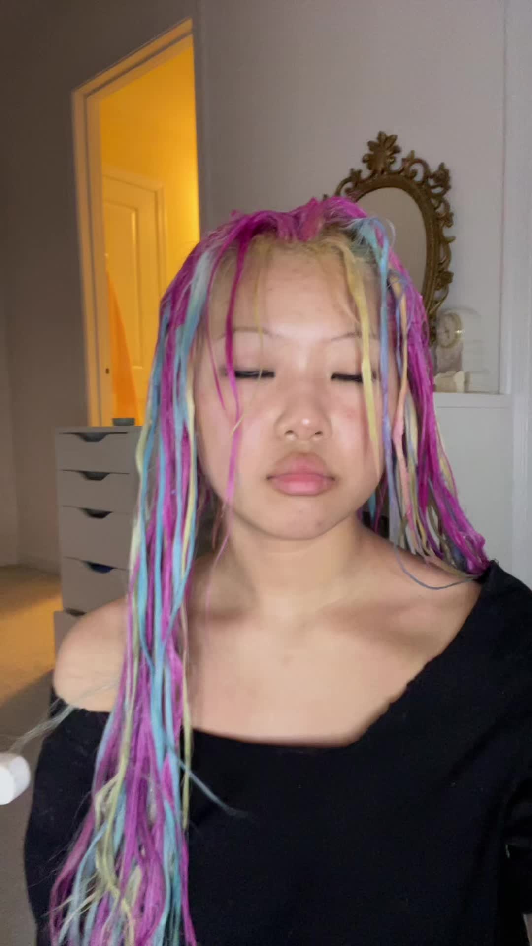 @chia.chihuahua1