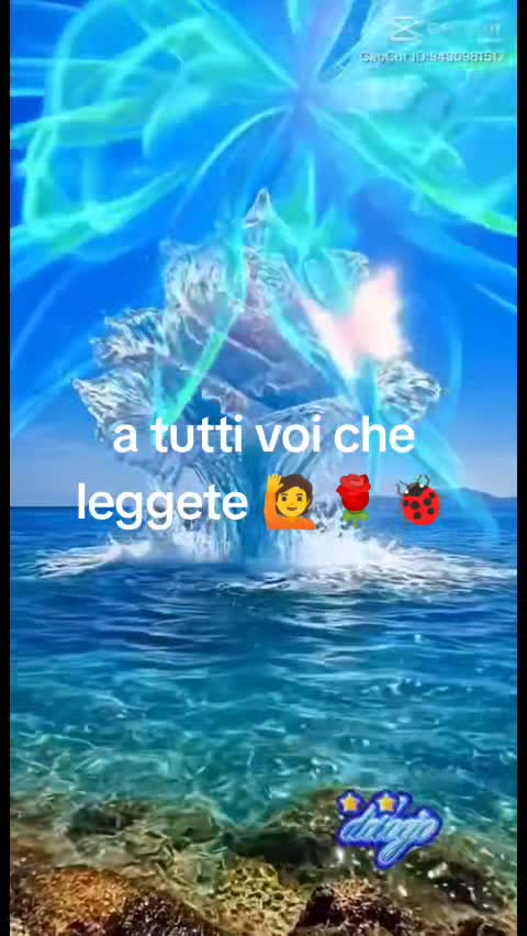 @Silvyia0244
