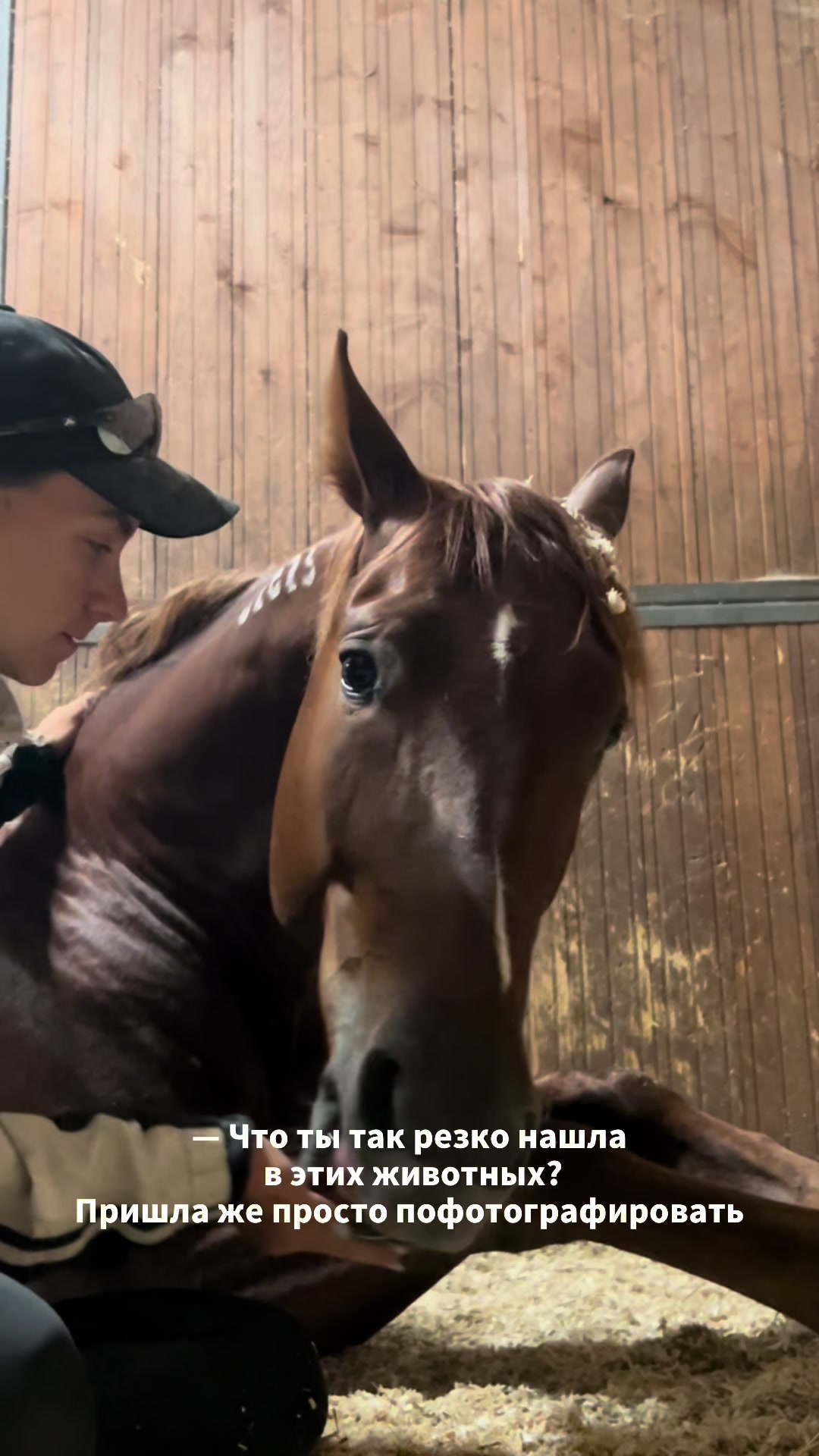 @ТГК: Sonya and the Trotters🐴