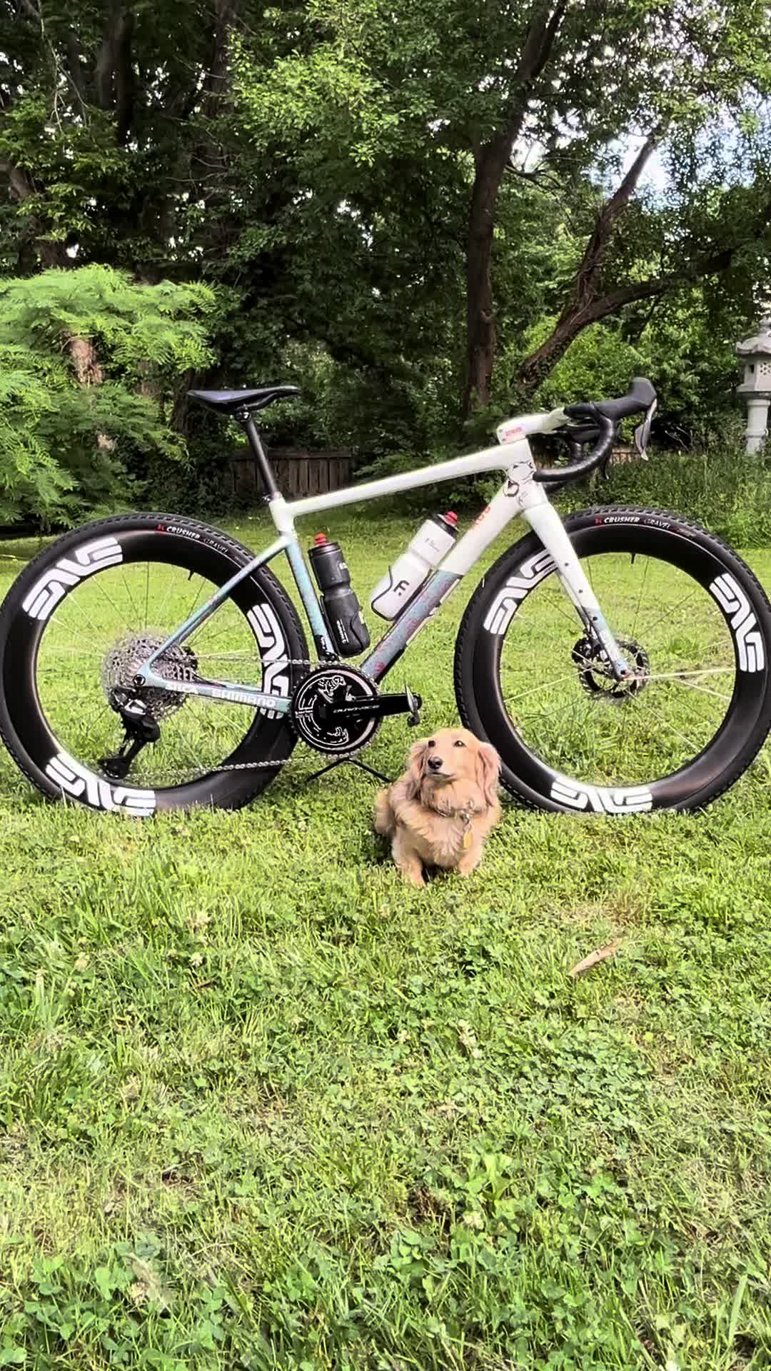 @VELO