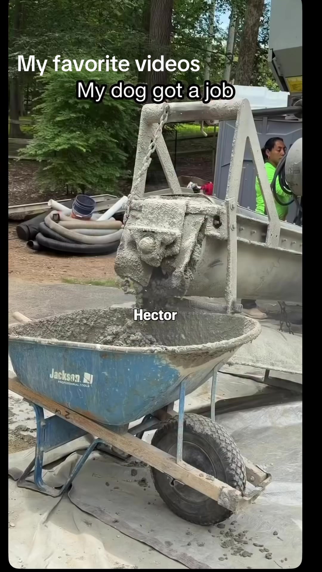 @my favorite videos