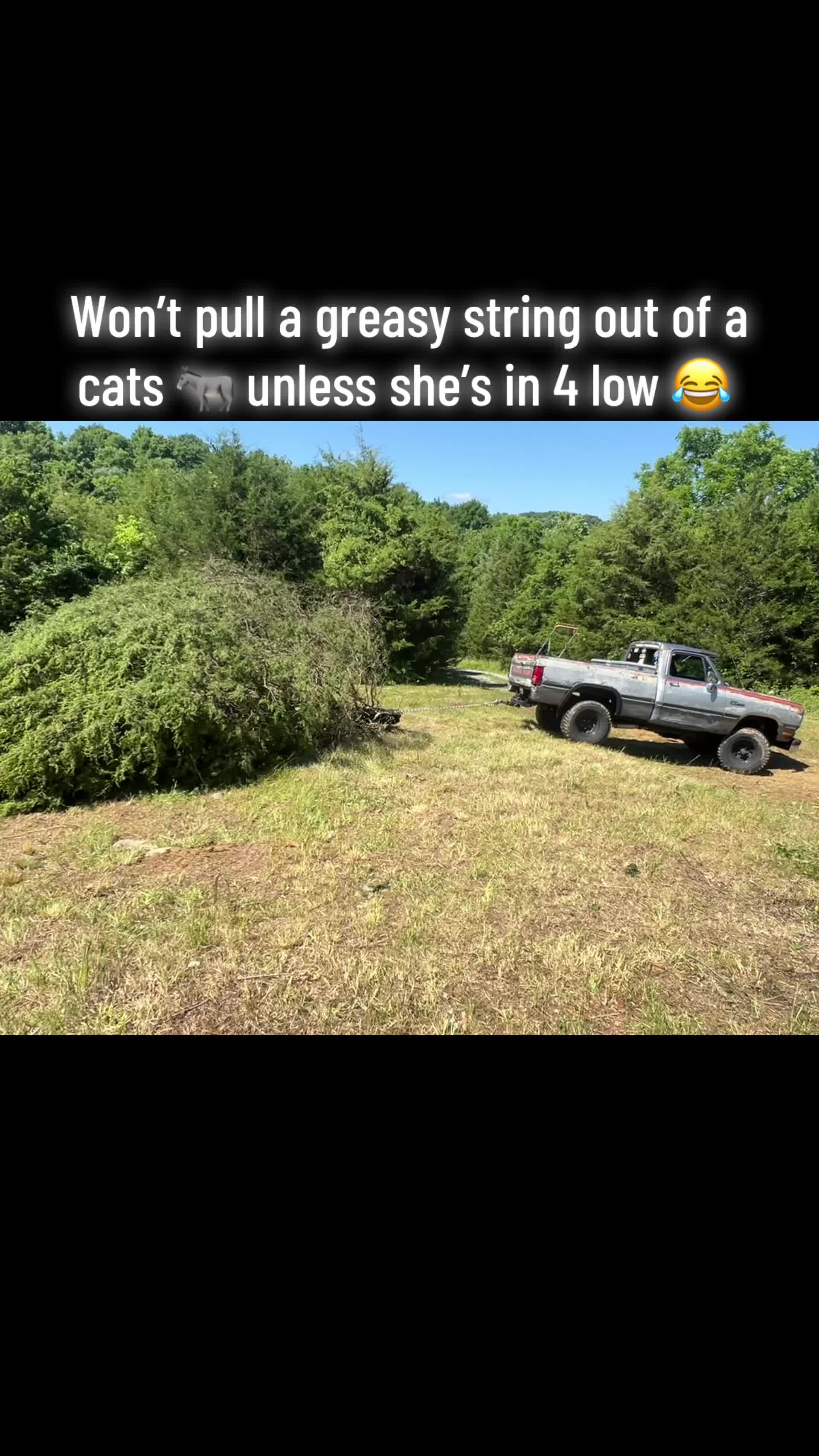 @Hardkore_since_74