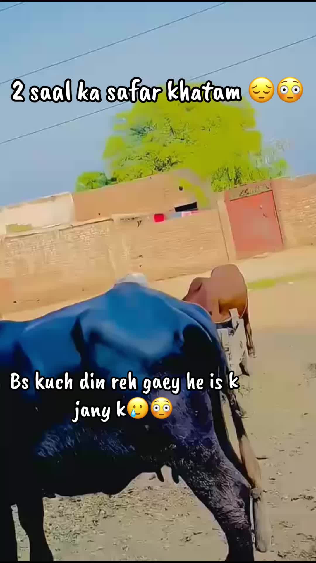 @naveedkathia22