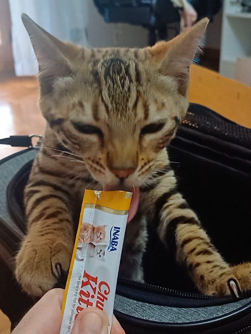 @Rio.supercat