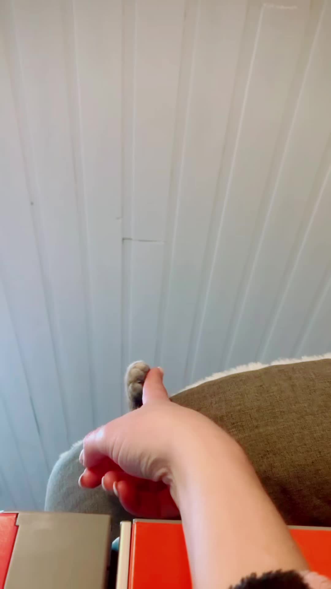 @Esther Van de Moer