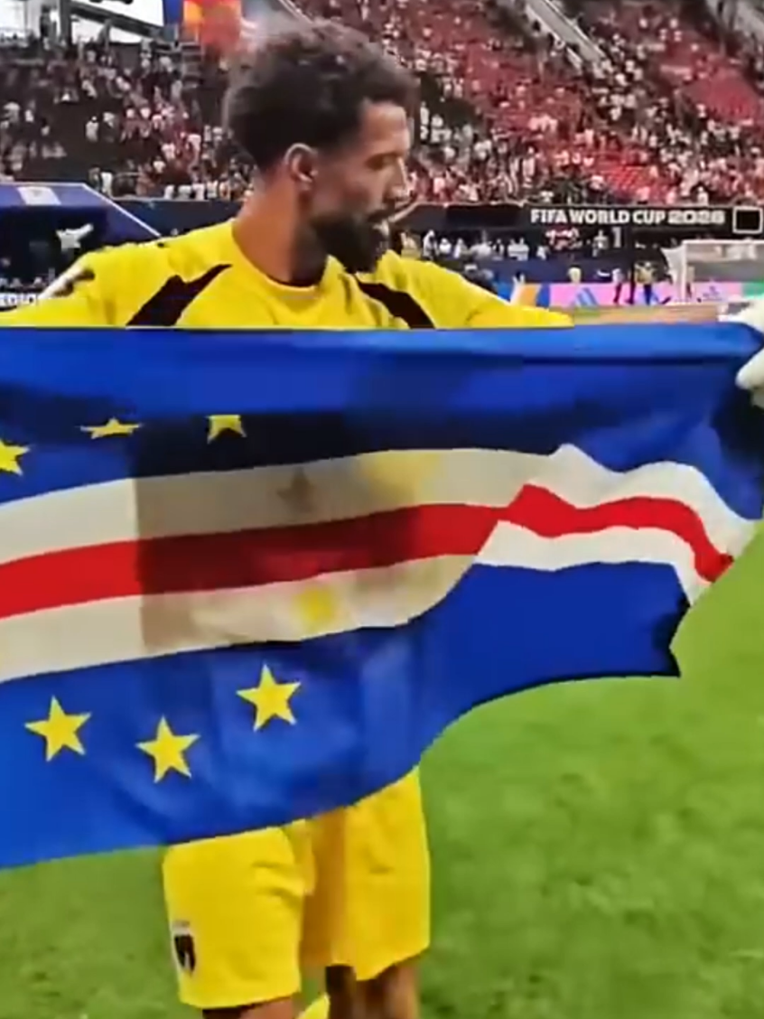 @Stitch Bloom