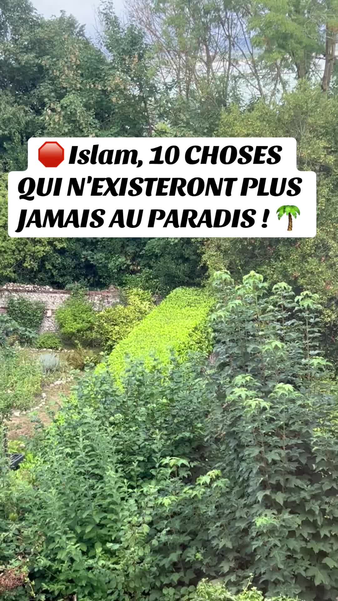 @Le fou du manoir