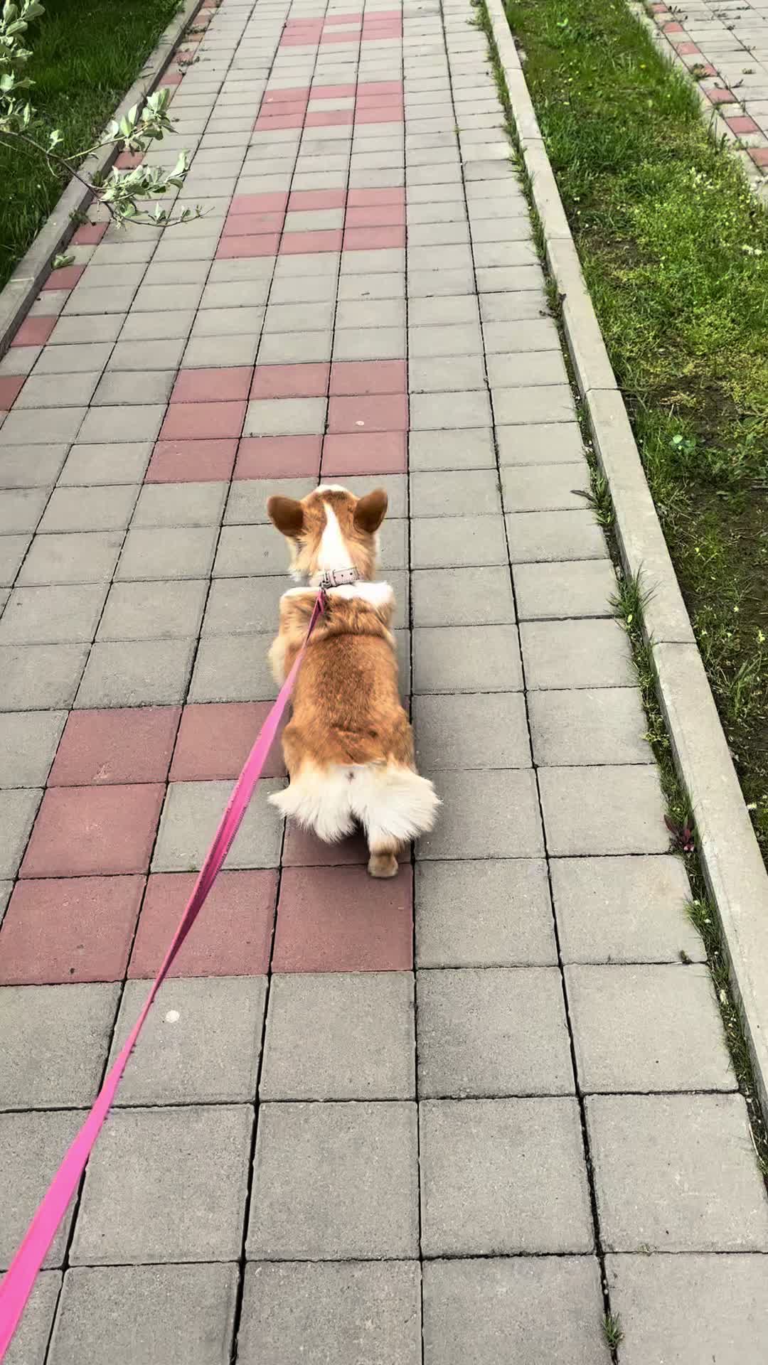 @Камила